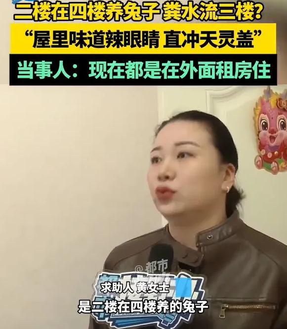 “笑死了！”河南许昌，2楼住户被3楼漏水问题困扰多日，多次沟通无果后竟剑走