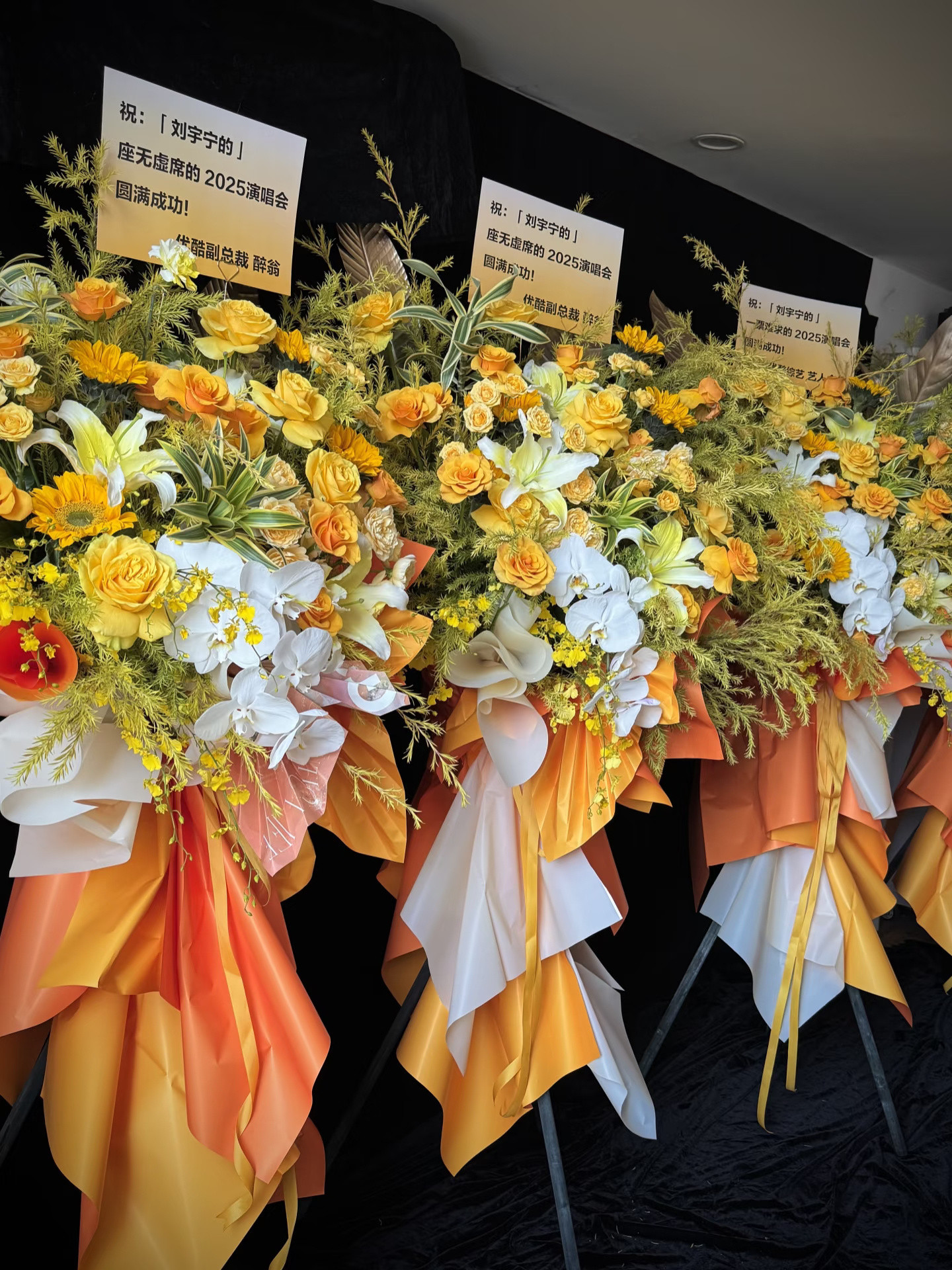 老大，我好想在现场告诉你，你的歌陪我度过了无数个哄睡娃后的深夜，你的乐观治愈了我