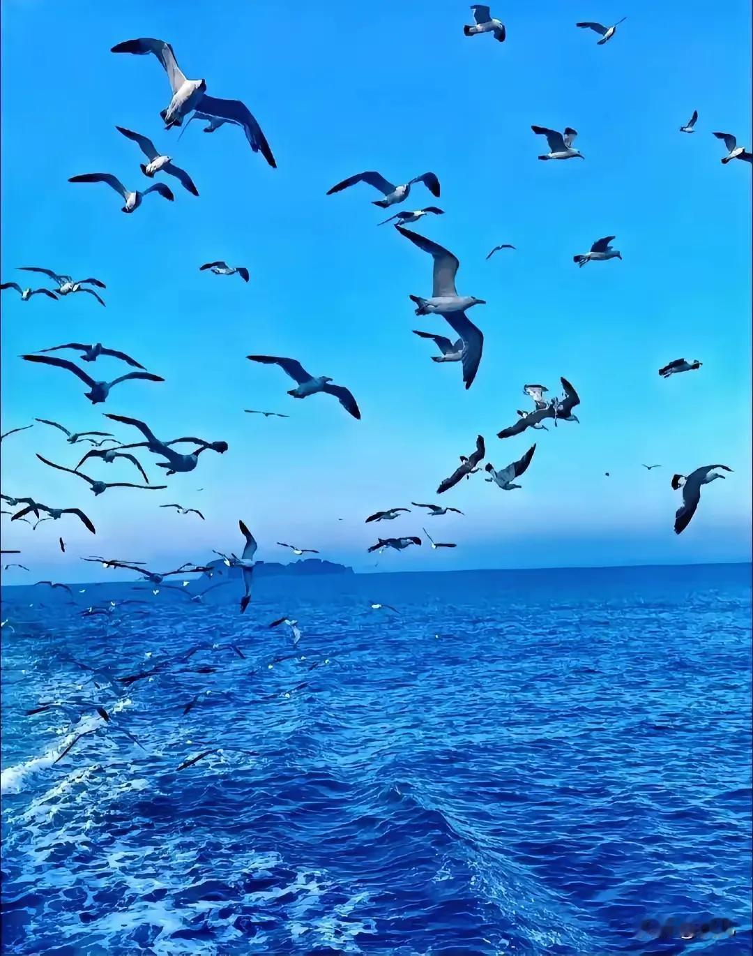 过年听表弟聊海员这份工作，真的打破了很多人的幻想！他在船上当大副，年薪四十