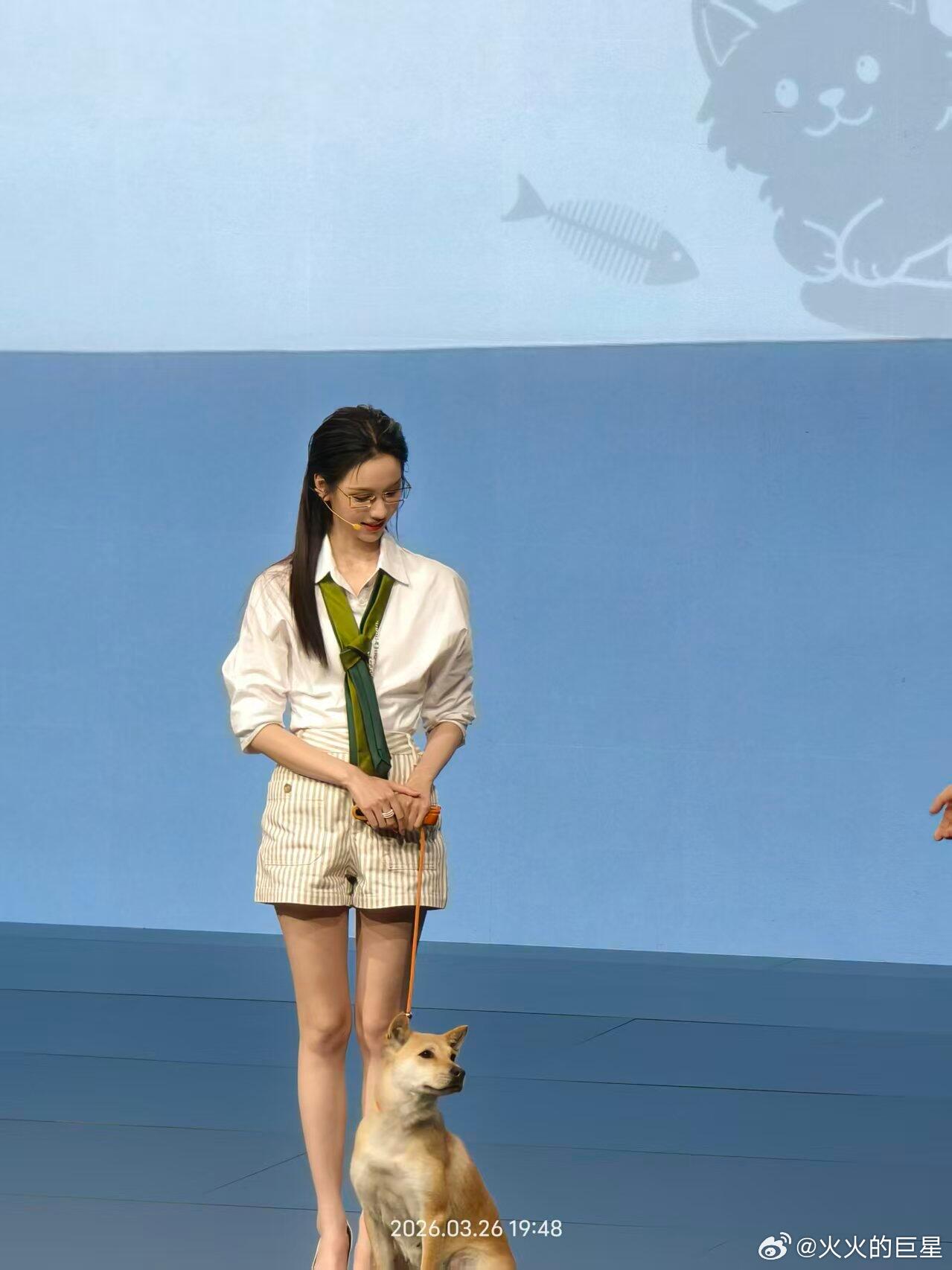 陈都灵活动牵了只狗陈都灵训狗姐姐别牵大黄了牵我好吗