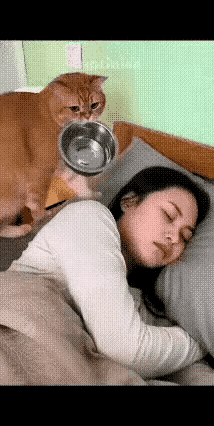 笑喷了！一女子，加班到半夜，一觉直接睡到大中午，还赖在床上不肯起。家里的大橘早就