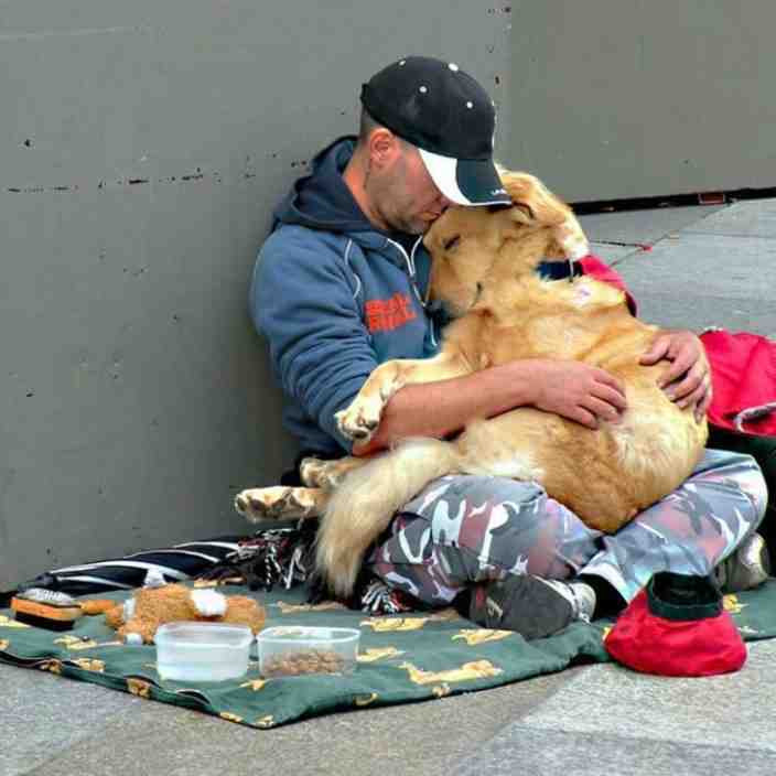 只要被爱包围，就不是流浪狗