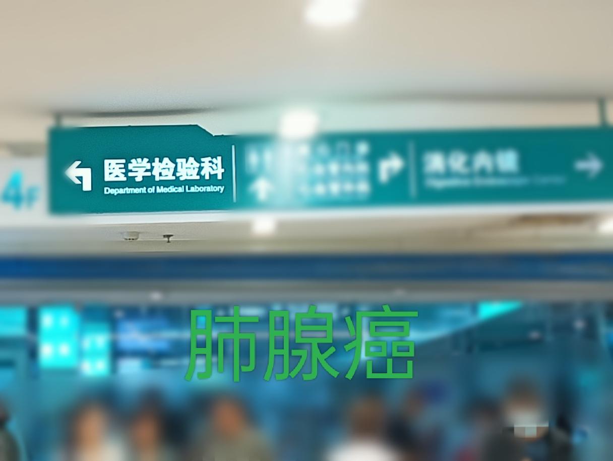 今天周二，上午，医院里依旧人满为患。我确诊肺腺癌晚期已经二十六个月，眼下日常起