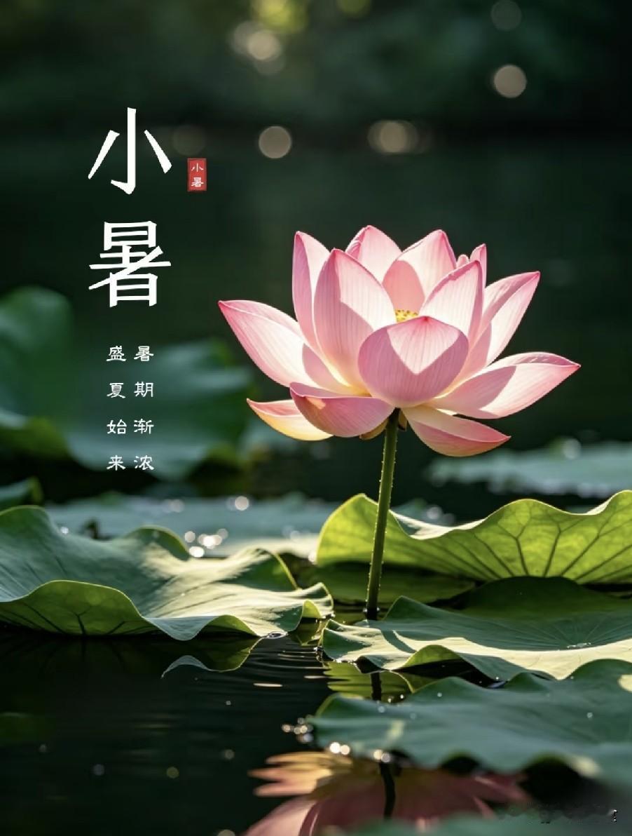 “上午小暑，旱干河，下午小暑，水满江”，今年小暑在几点？民间素有“上午小暑，旱