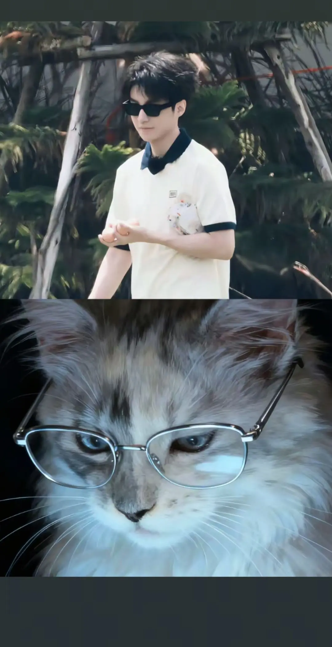 🐱 好喜欢这个