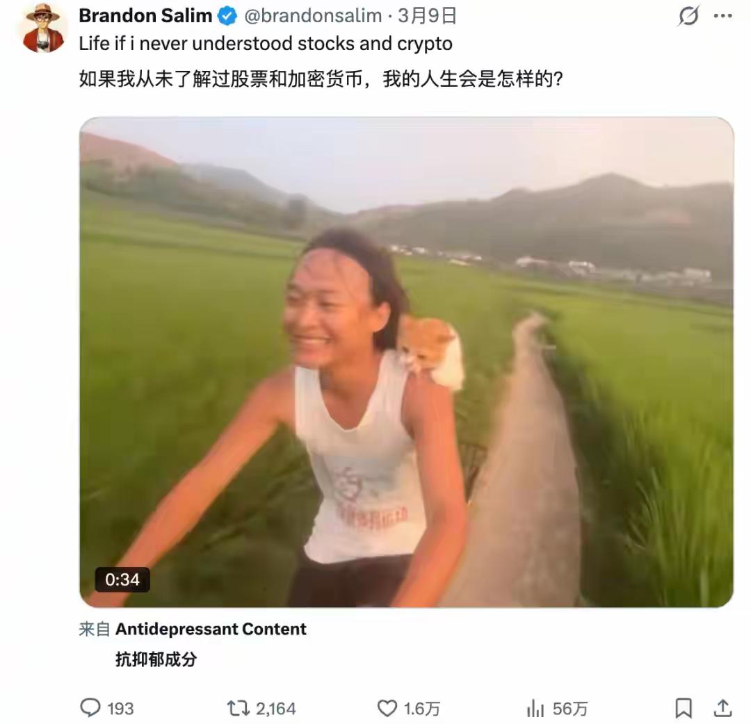 当意外爆火的广西农村青年，被外网标价百万美元2026年3月，广西百色田林县百乐