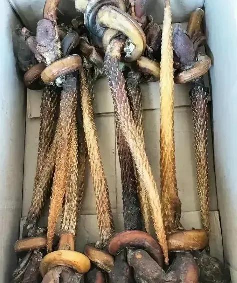 老丈人送来了土特产呢！大伙觉着如何？能不能吃呀？[笑着哭]