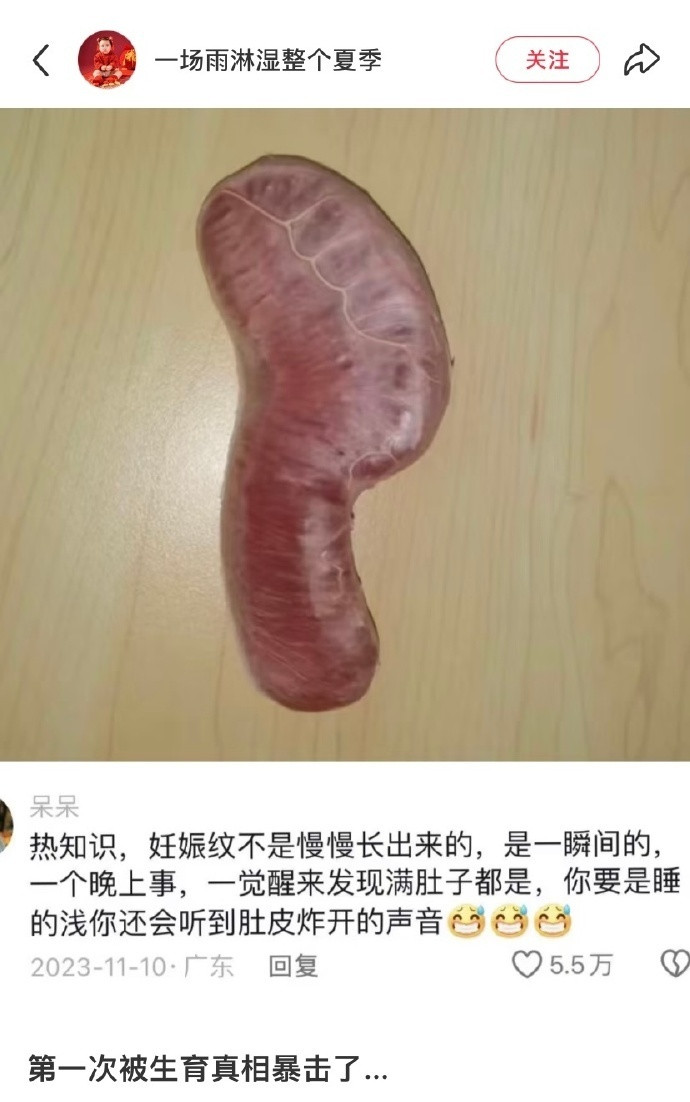 第一次被生育真相暴击了…