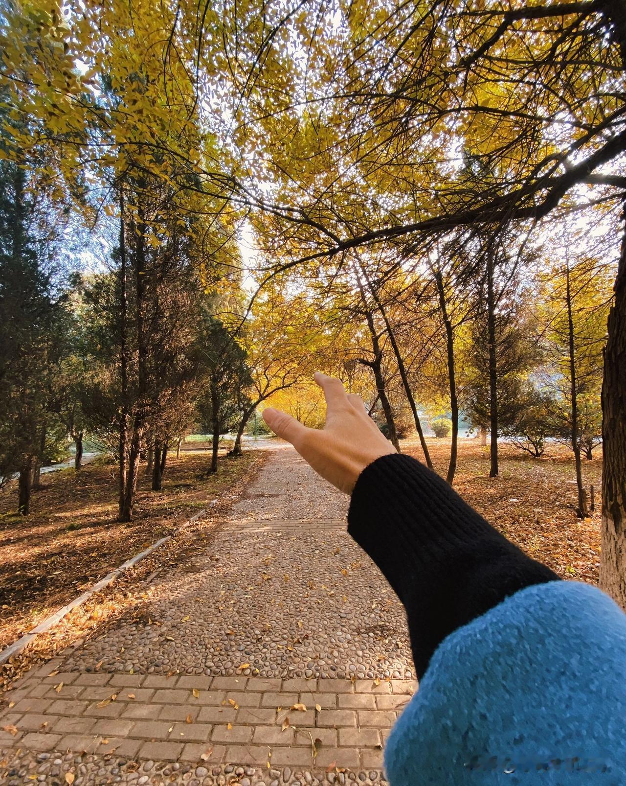 你们觉得中年女人还需要找男人吗对于中年女性来说，找男人不再是人生的必选项，而是一