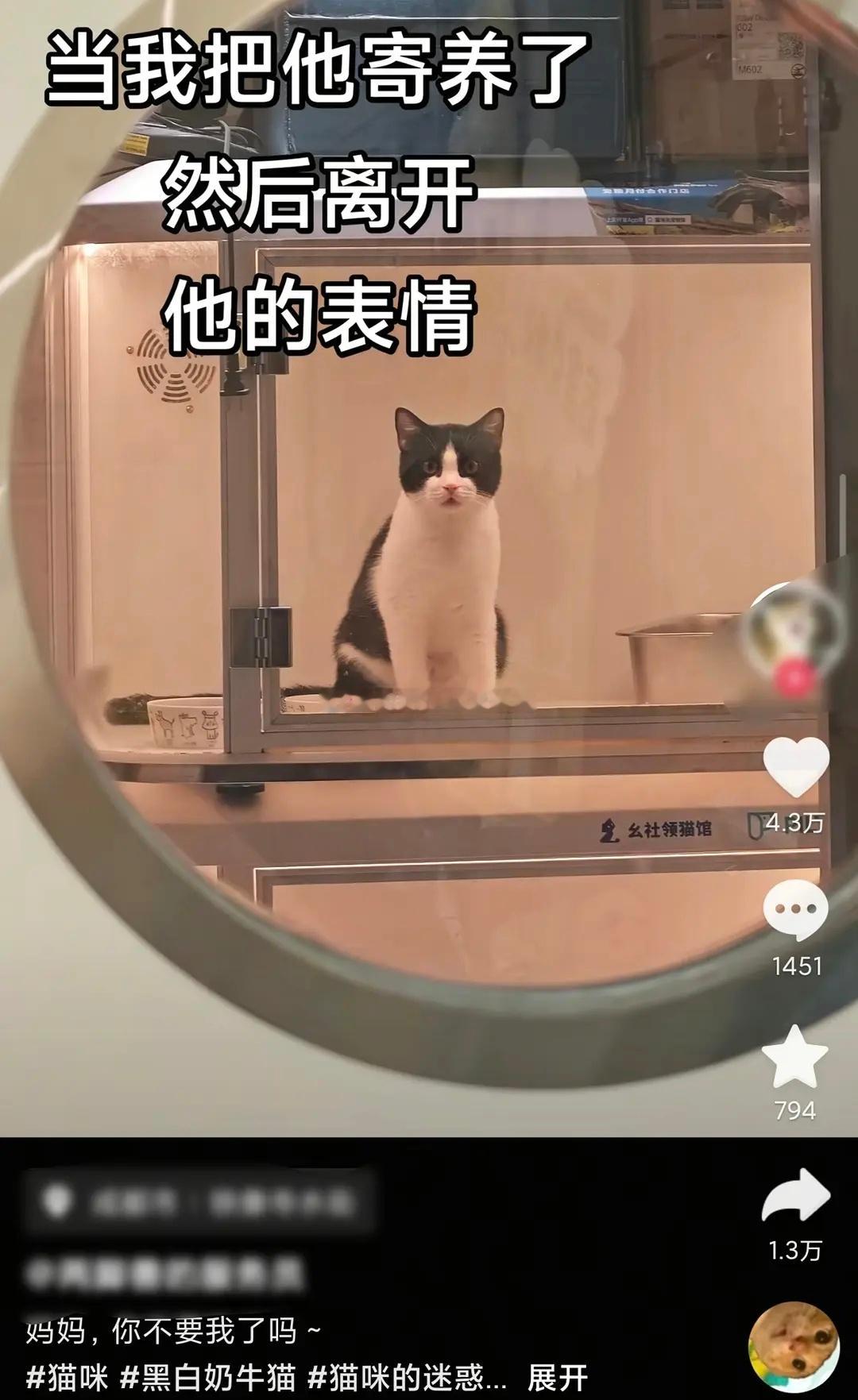 原来猫也有“震惊”的表情😨😨​​​