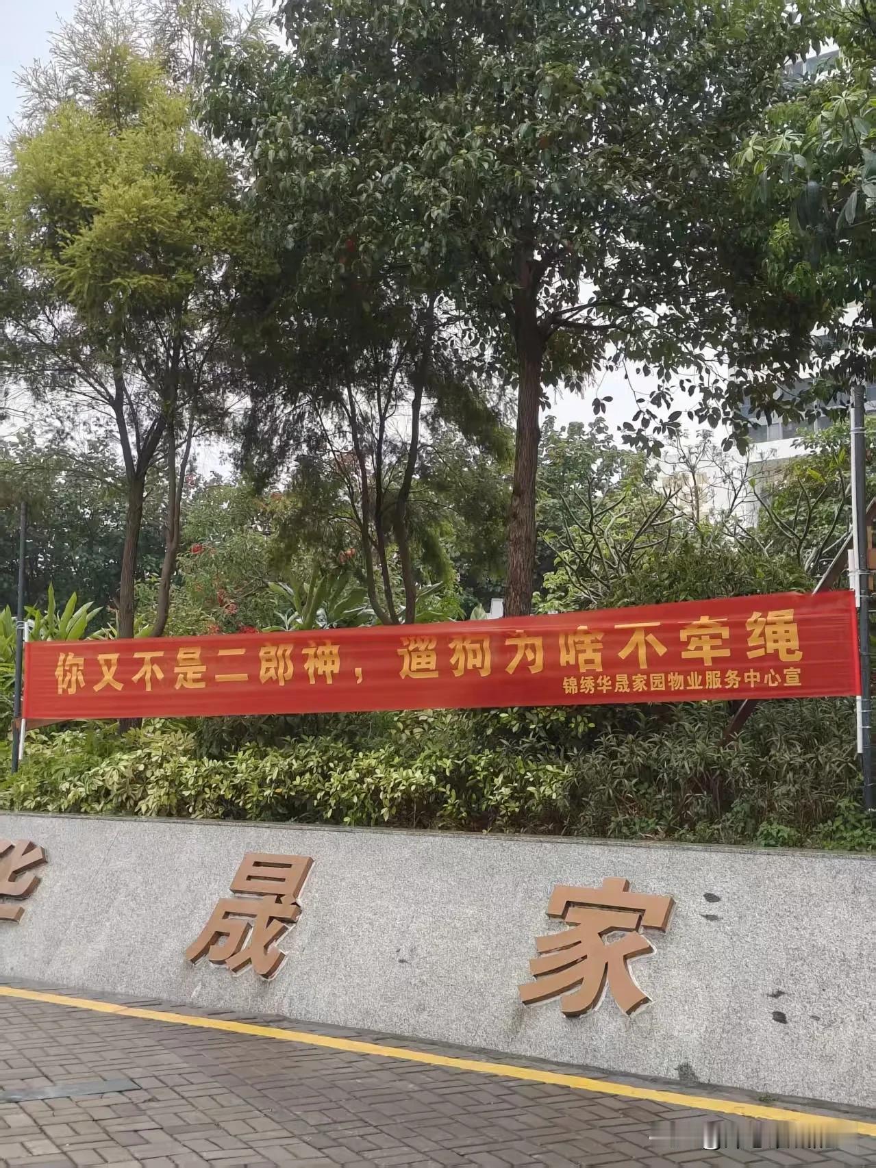 公租房不认租干等，能有吗？大亚湾一邻居说，他们家也是深圳坪山户口，但是等了好几