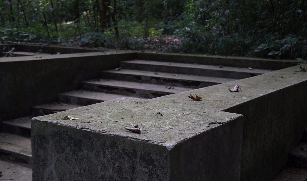 前两天到灵谷寺，在无梁殿西侧的杂草丛中找到了戴笠墓，墓已被毁，只剩下一个厚重的水