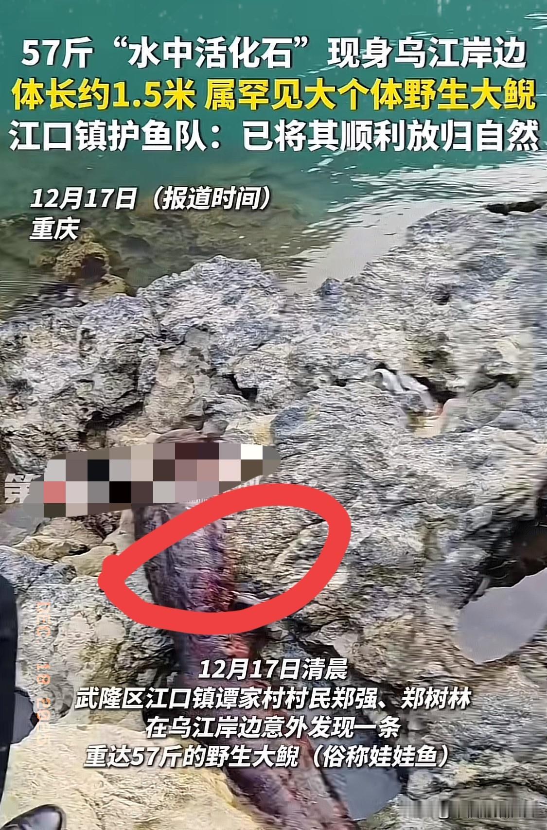 幸亏大哥多了个心眼！重庆村民挖红薯时撞见石缝里的“黑影”，差点当成“辣条”躲