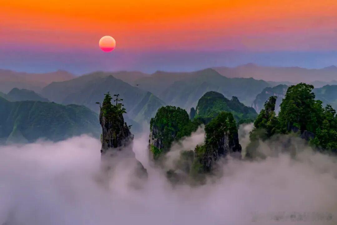 朋友圈步数突然登顶的朋友，十有八九是冲光雾山杜鹃去了！200多平方公里的杜鹃林