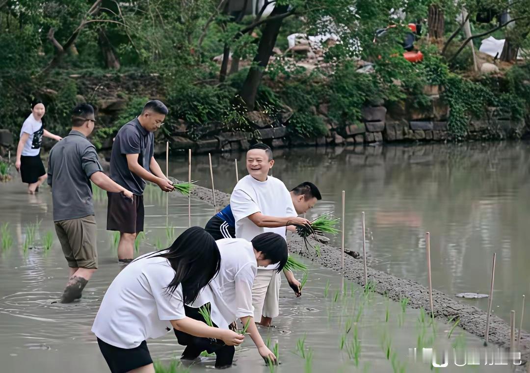 前有雷军吃面，后有马云插秧，这是干嘛啊