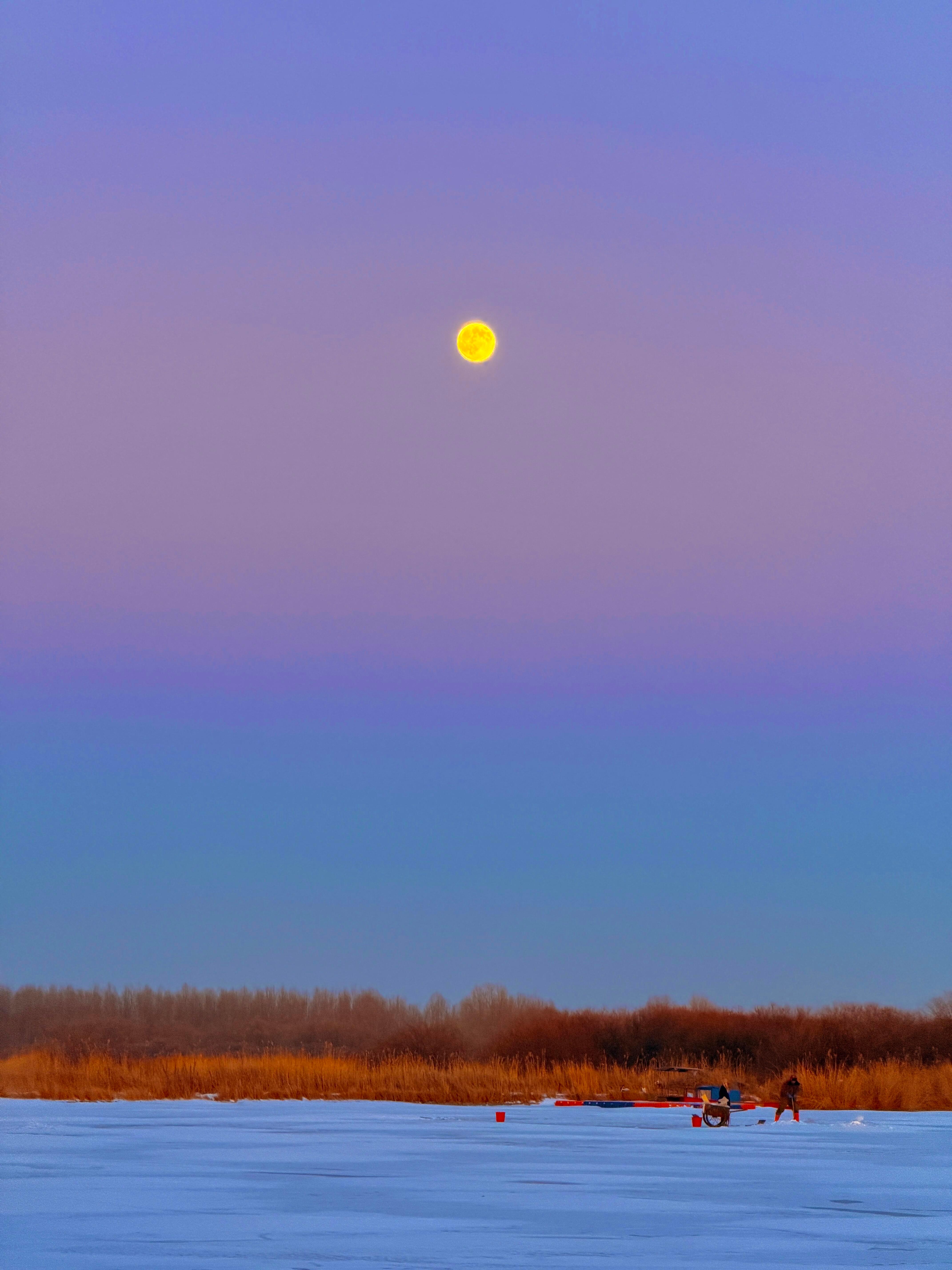 哈尔滨日落杀疯了！