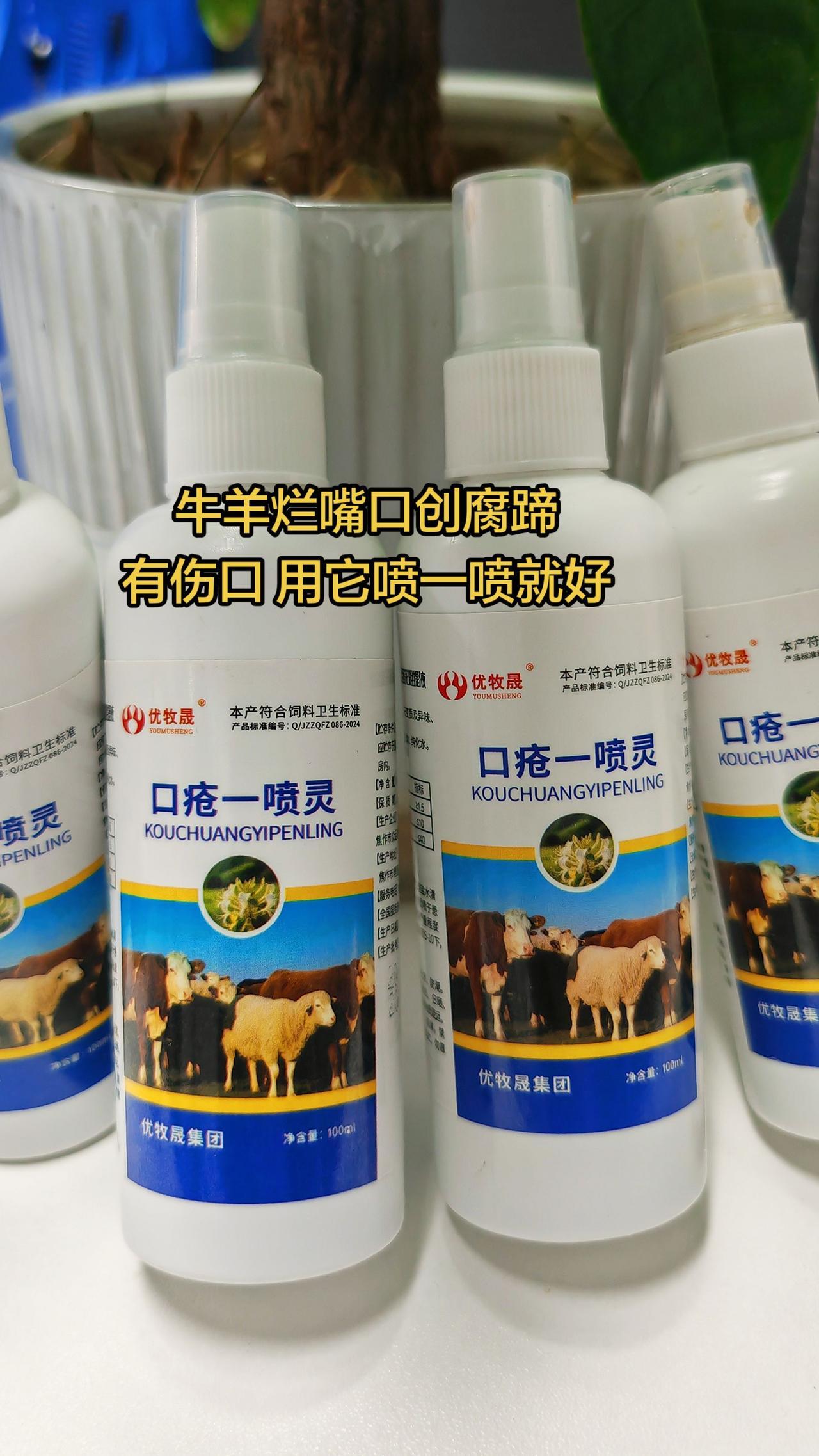 养羊人牛羊养殖牛羊烂嘴农村养羊