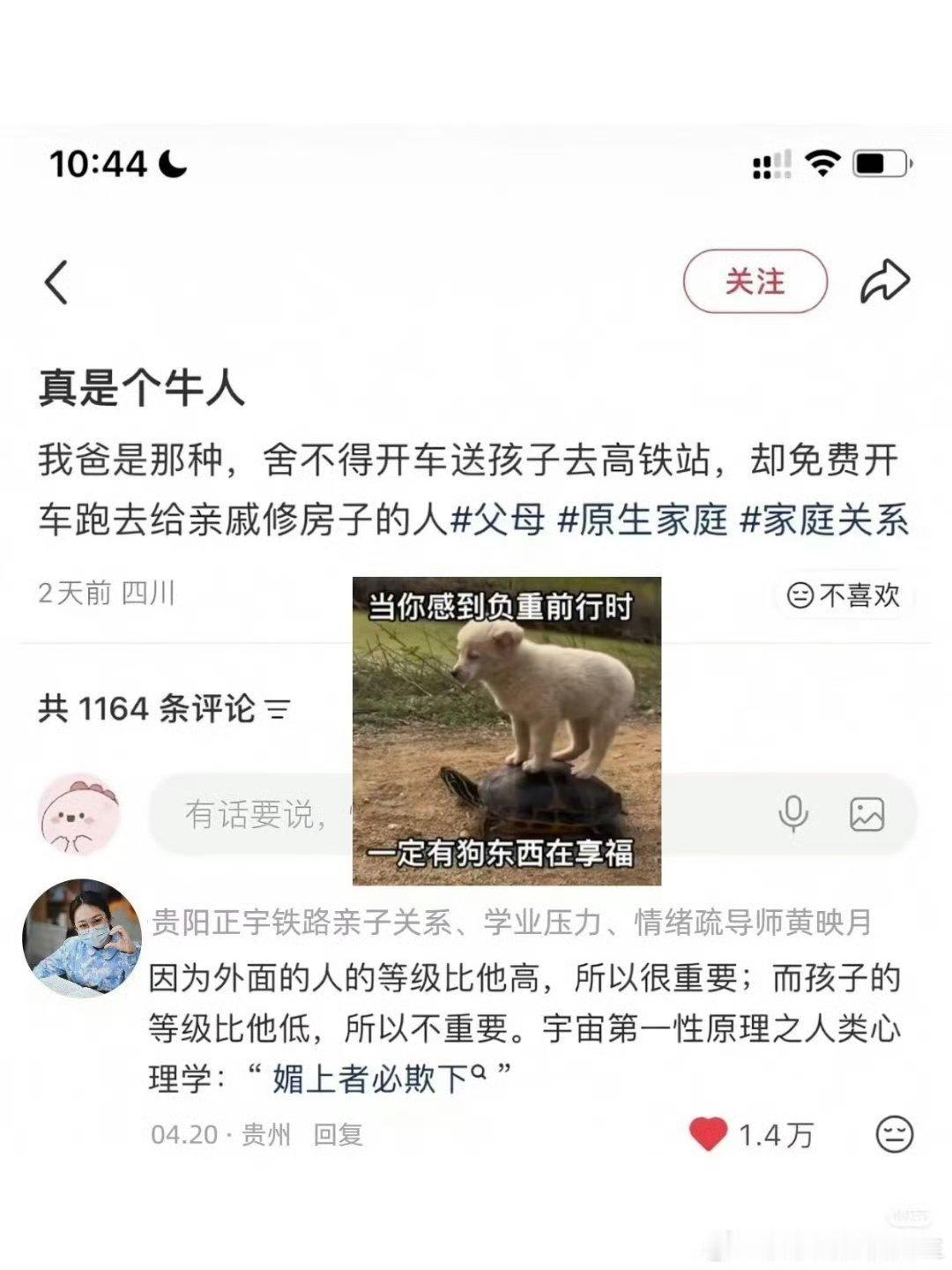宇宙第一性原理之人类心理学：“媚上者必欺下”