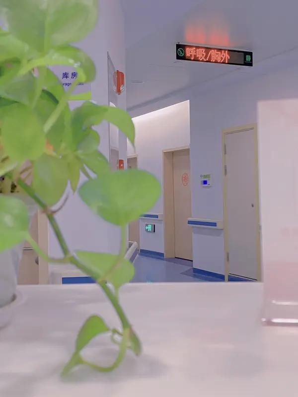 2400万善款救不了房租？真相来了35万人捐了2400万，嫣然医院却还在愁房