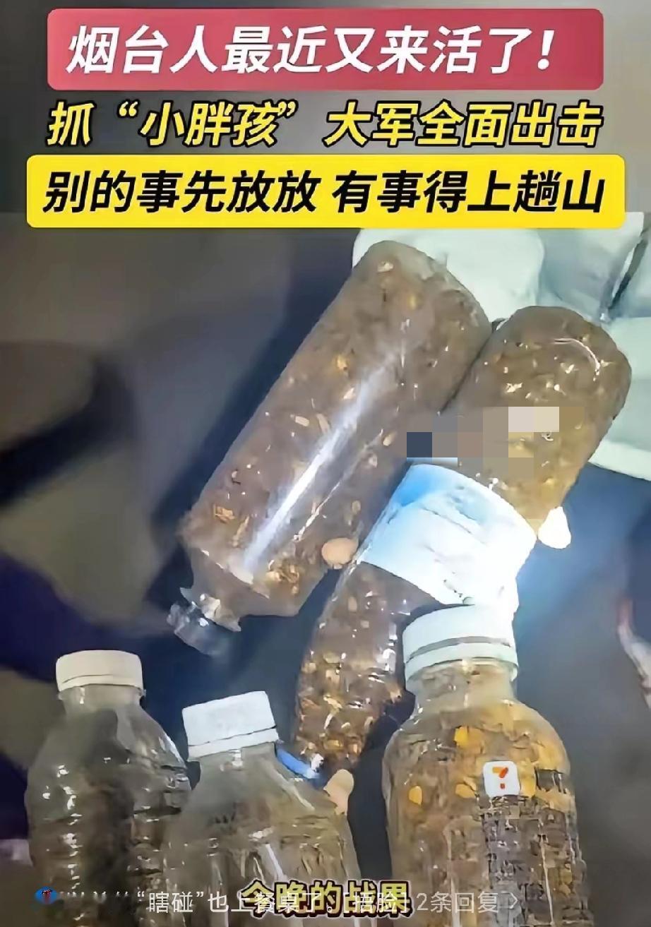 谁能想到，大半夜的山东烟台，一群人不睡觉，开着私家车把荒郊野岭的山脚围了个水泄不