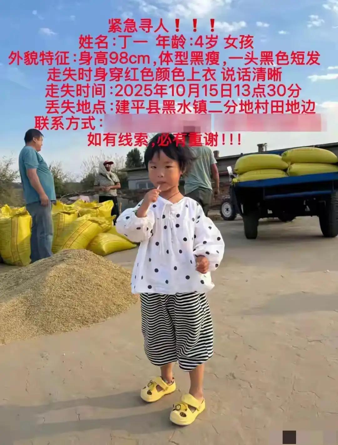 辽宁四岁女童失联后续：奶奶肝肠寸断，丢失原因两种可能性引关注辽宁四岁女童失