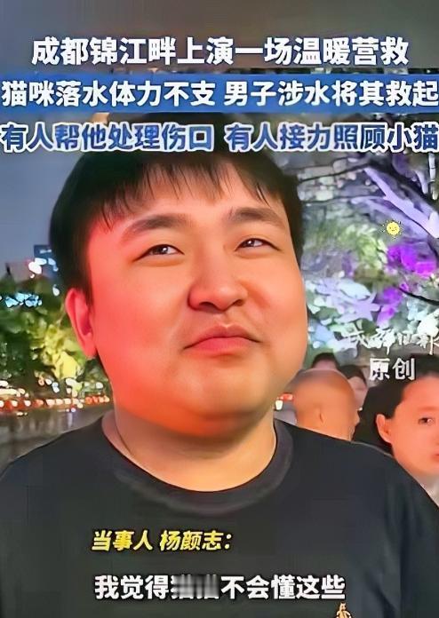 破防了！四川成都一只白猫意外掉进水里拼命挣扎，随时都有溺水危险。路过好心男子先是
