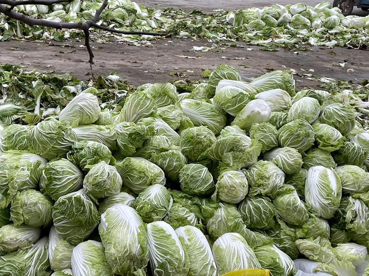 最近央视曝光的湖北天门毒白菜事件，令人怵目惊心。一方面有毒有害的蔬菜和食品频频在