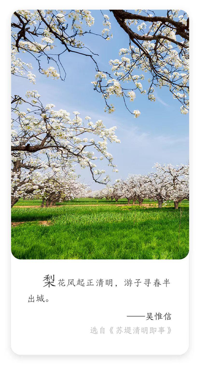 没想到，连清明祭奠这事儿，我们竟然也是“重男轻女” 昨天清明，我和哥哥去扫墓