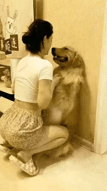 狗🐶:你不要过来啊！美女:你叫破喉咙也没有用的！狗狗高清美女