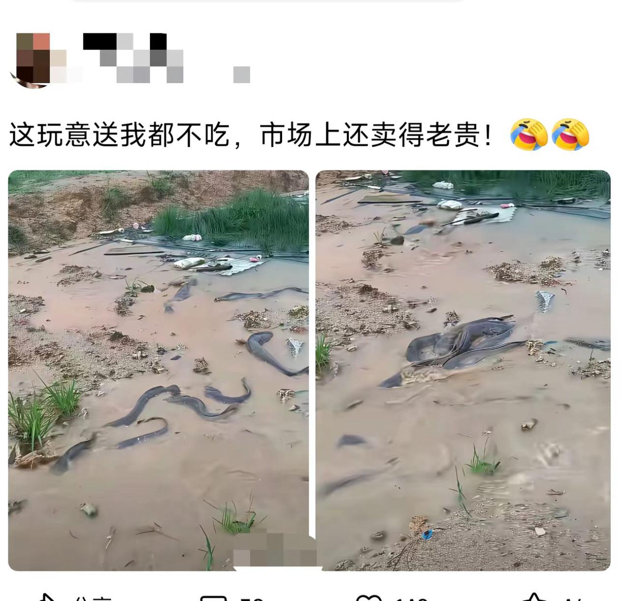 市场卖得贵，凭啥呀？