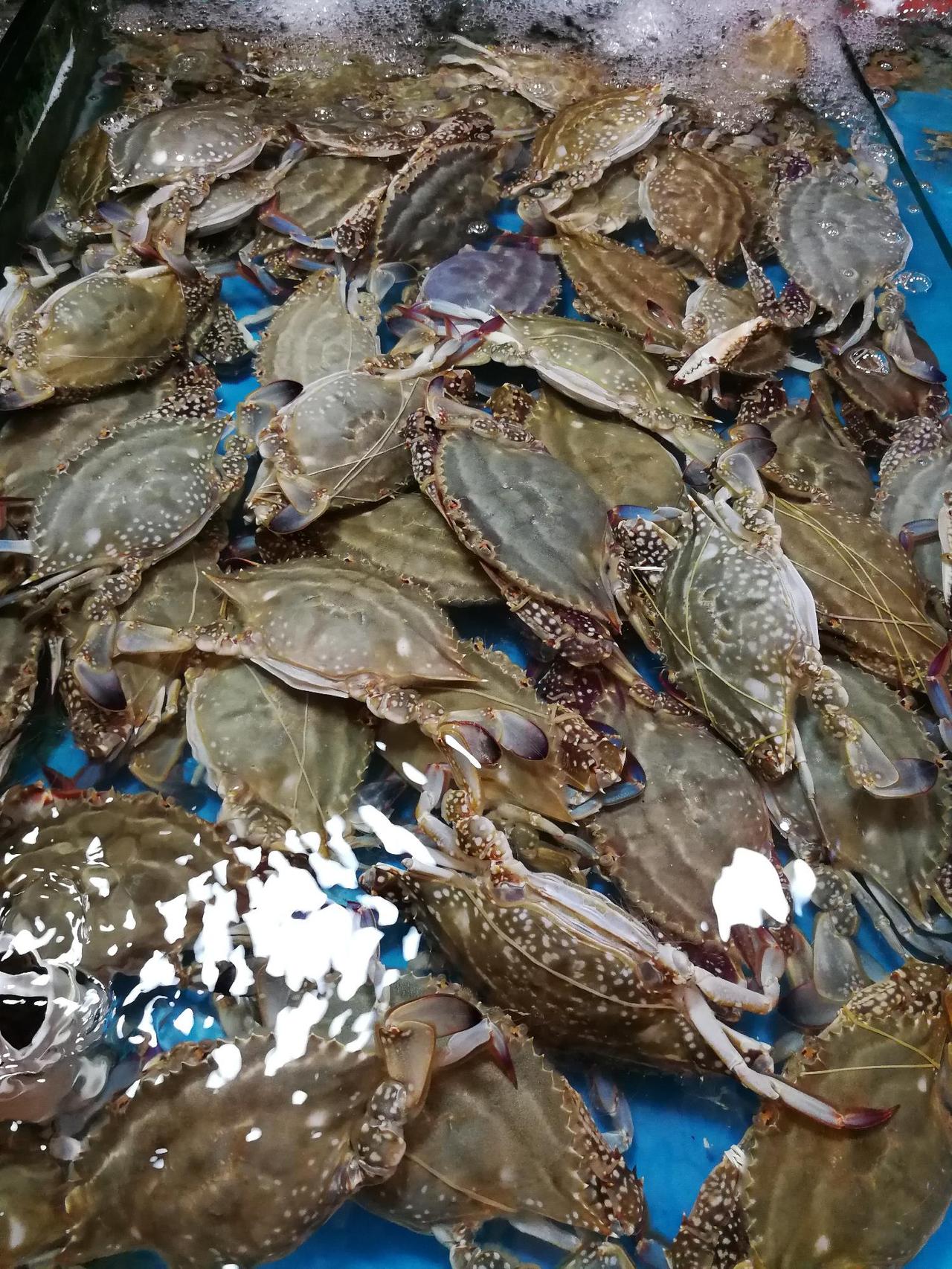 九月一日开海了，大量海鲜上市，各种海货应有尽有，尤其是梭子蟹正是一年之中味道最鲜