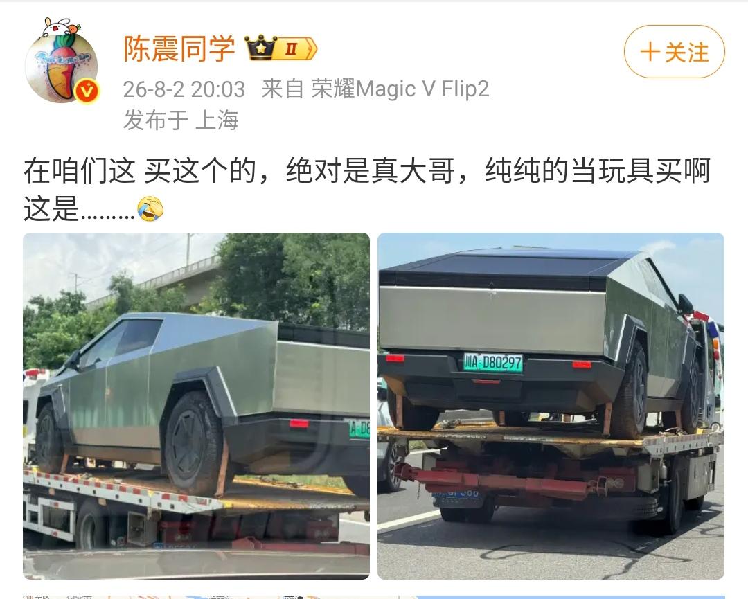 陈震：在咱们这买这个的，绝对是真大哥，纯纯的当玩具买啊这是………[捂脸哭]​​