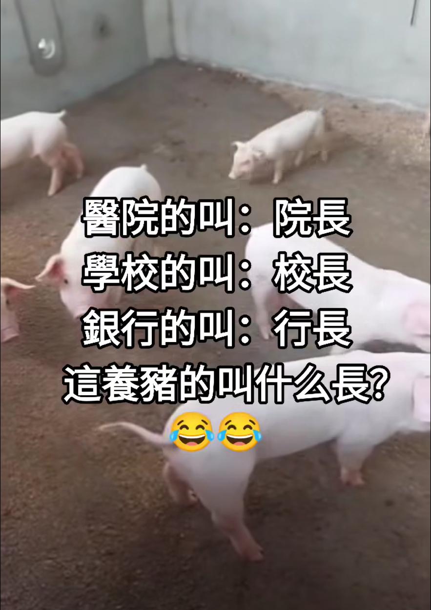 既然医院的叫：院长学校的叫：校长银行的叫：行长那么这养猪的该叫什么长？