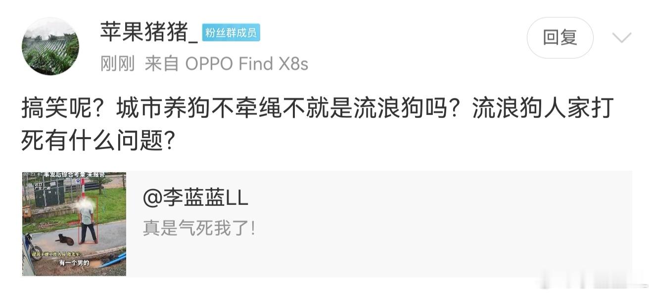 呵呵。流浪狗就该死！？​​​