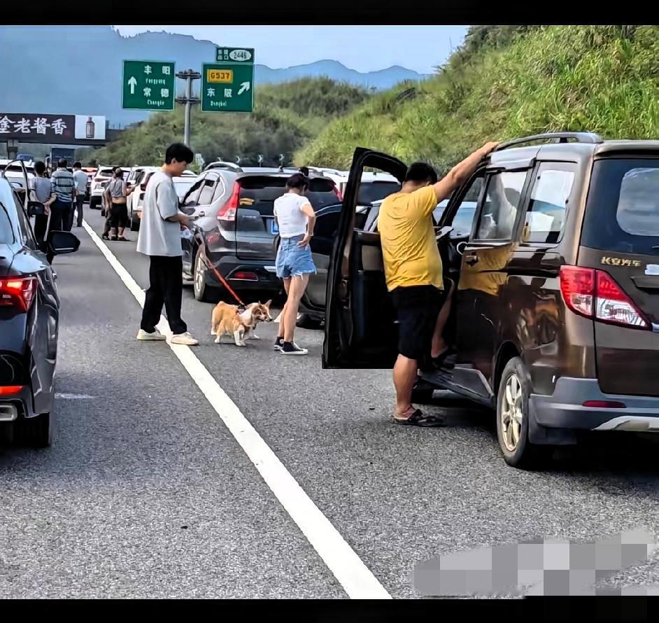 国庆中秋想避堵？别再跟风说“聪明人提前出发”了！前两天刚刷到有人28号就上高