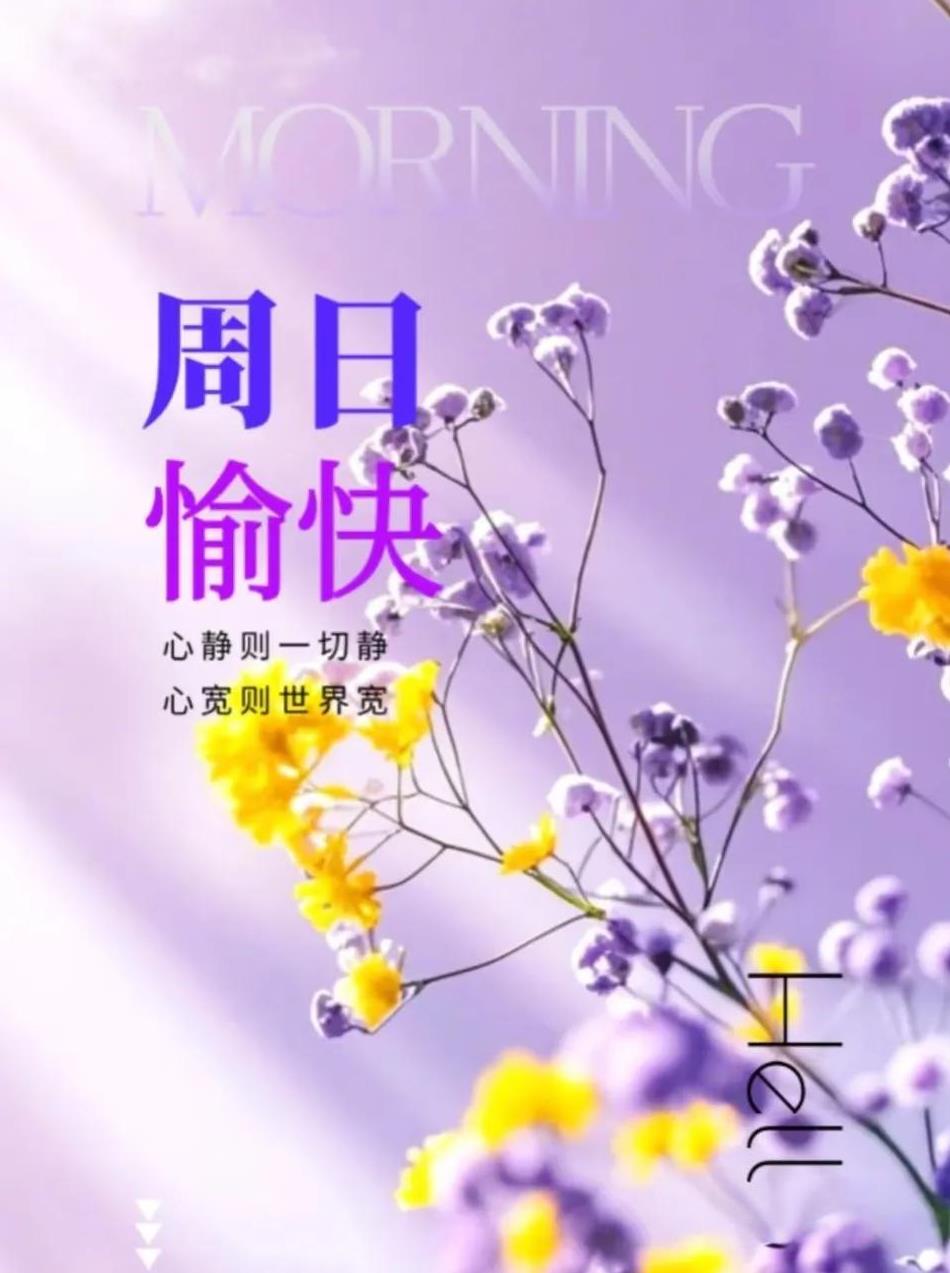 早上好，今天是5月11日星期天。即将于6月4日在北京进行的世界女排联赛，赵勇所