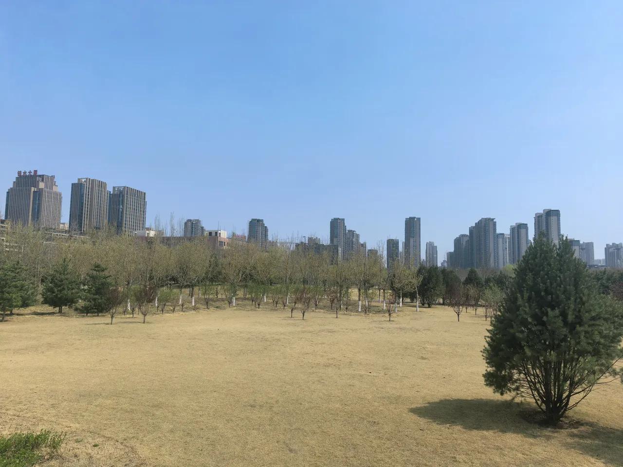 男孩90后，研究生毕业，帅，教师家庭。同单位的女孩大他两岁，条件一般，认识一周就