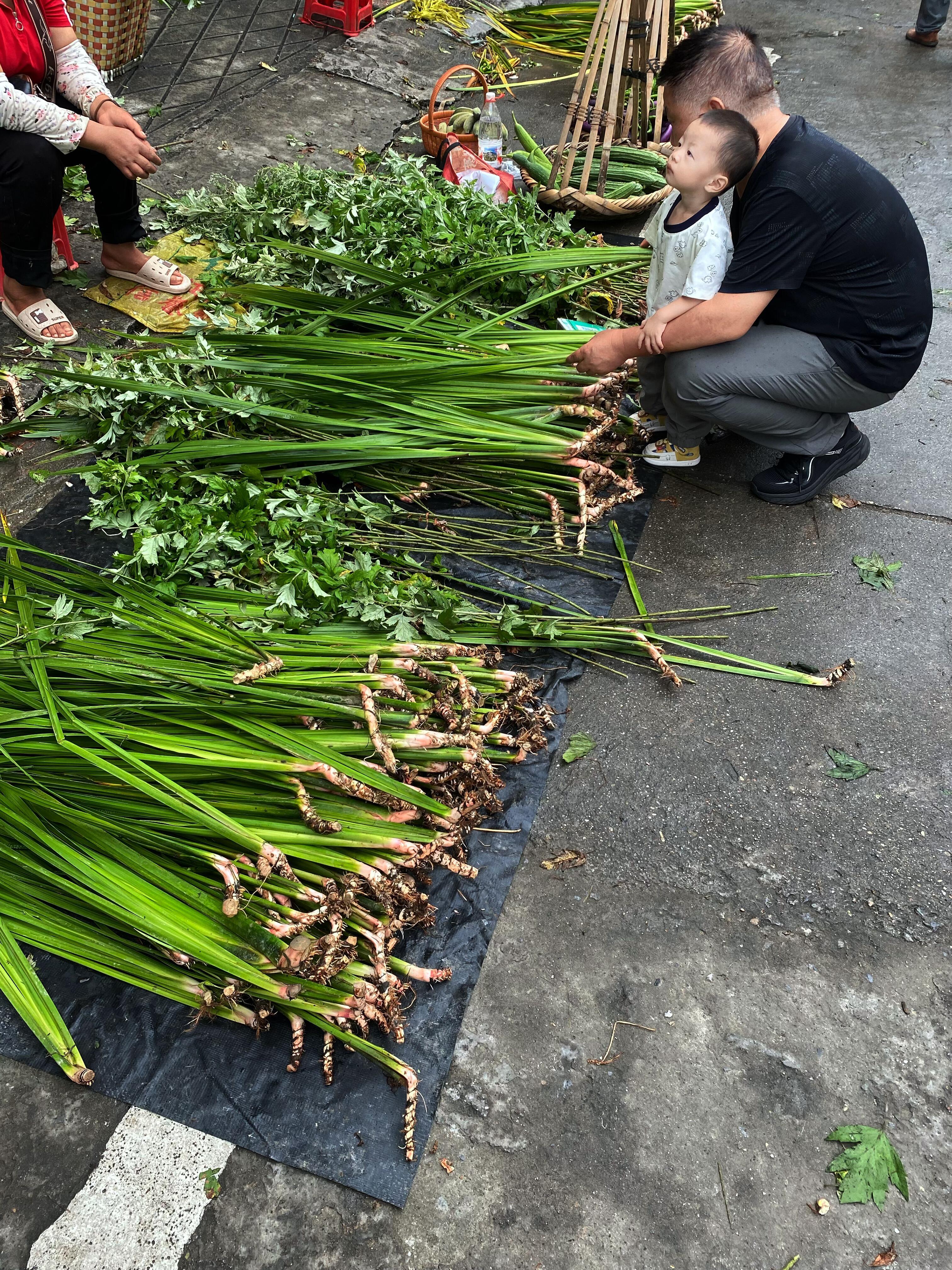 逛不腻的菜市场时令的新鲜瓜果蔬菜种类繁多每次逛菜市场对生活又多了一份热情～