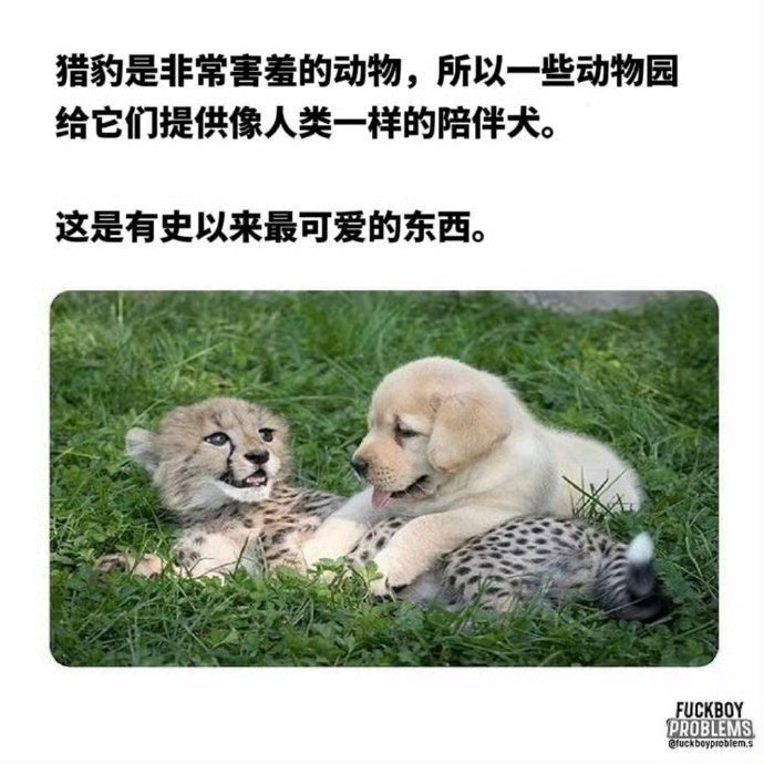 有史以来最可爱的组合[抱抱]😘🤩