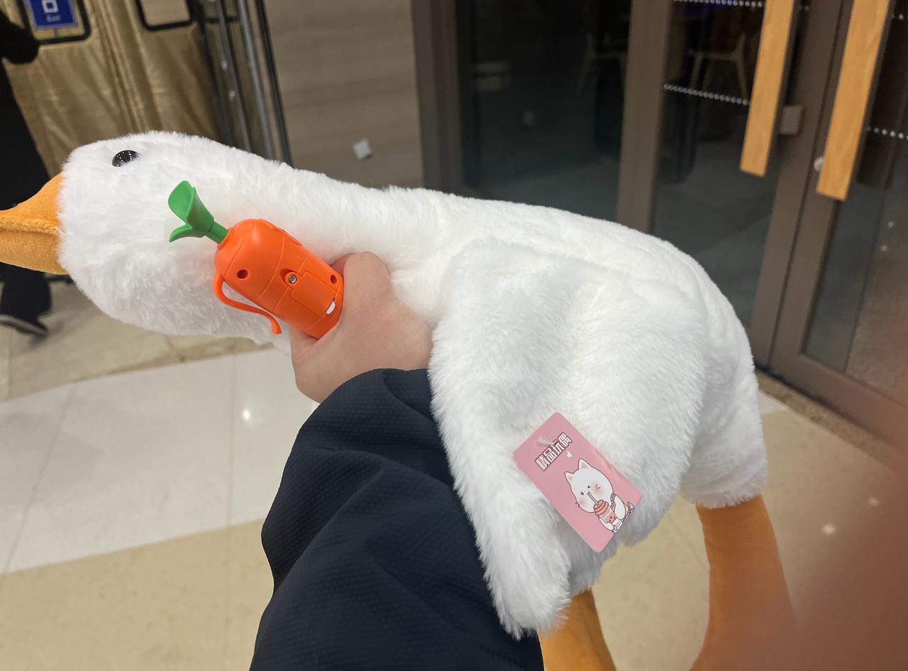 就莫名其妙抓了一只大鹅和萝卜录音笔。​​​