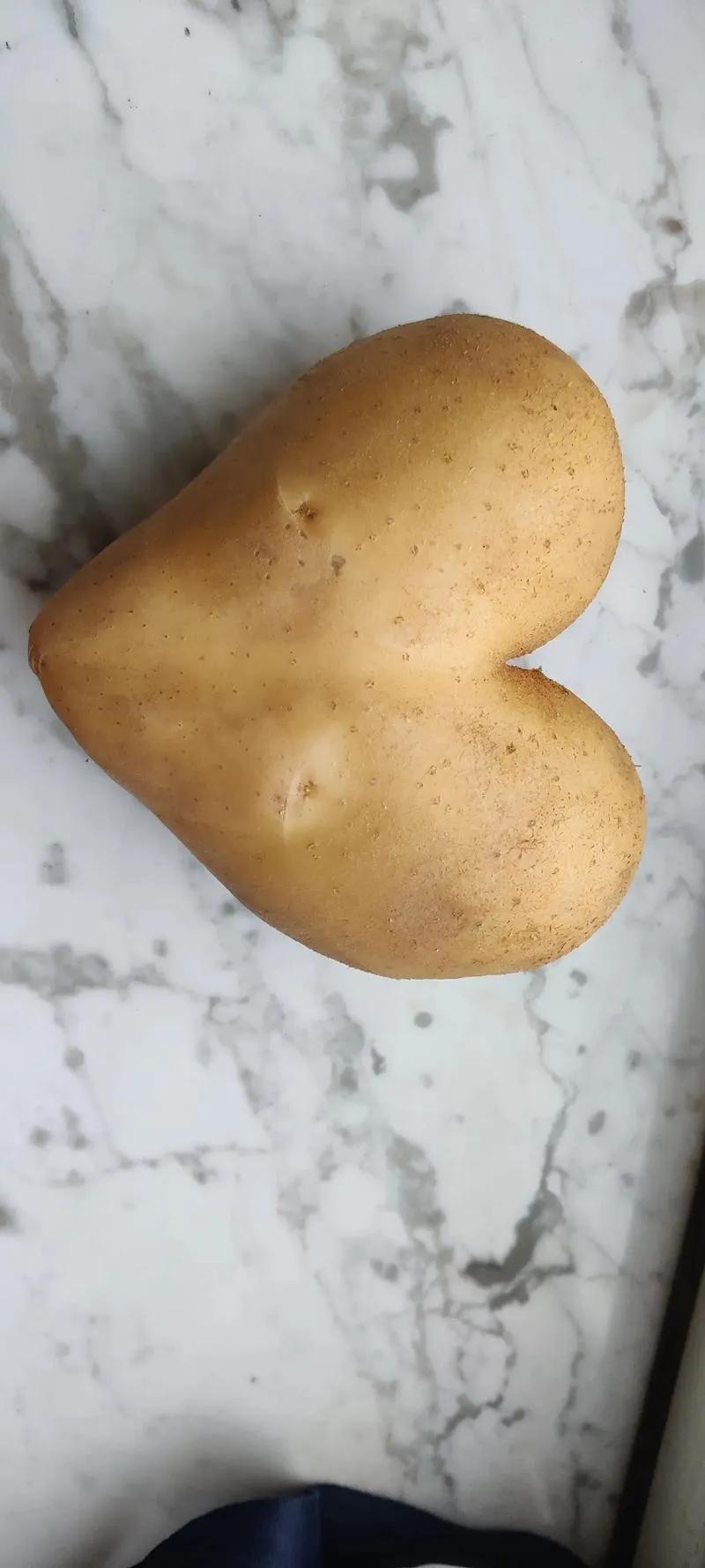 这是一个土豆，菜市场买的，一块钱一斤。但你知道吗？要是把它切片油炸，装进袋子变成