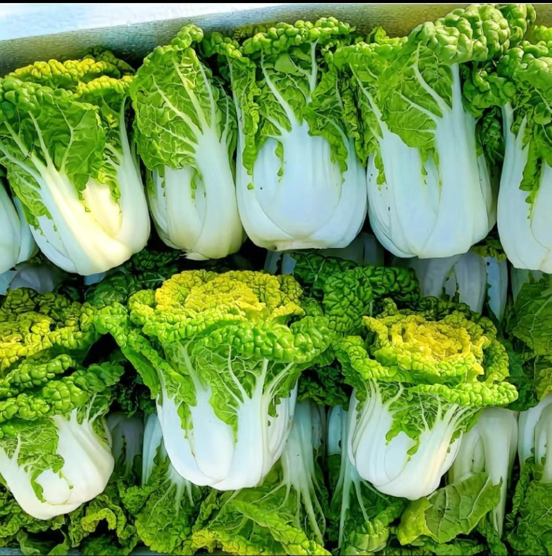 今日菜价：西红柿🍅4.9元、茄子🍆3.5元、黄瓜🥒4元、辣椒🌶4.5元、