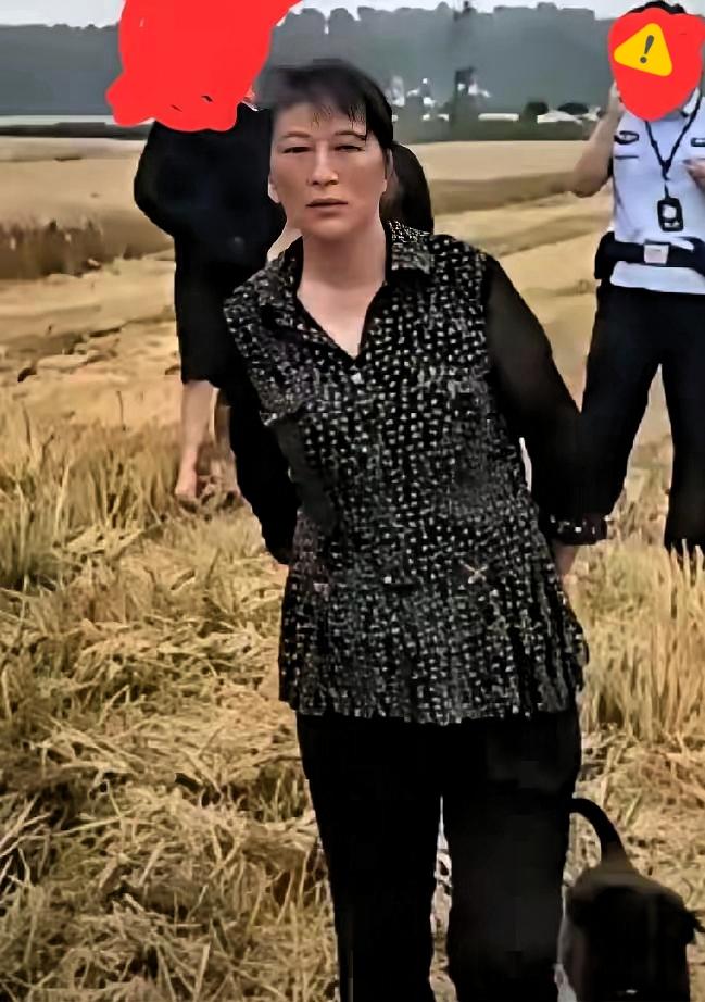 对襄阳大妈不能和稀泥！对襄阳大妈欺负外地收割机主的“地头蛇”行为，三个主体都觉