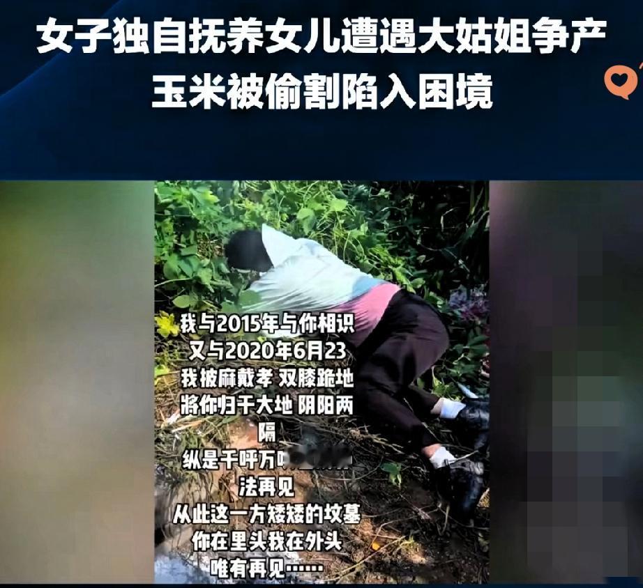 这哪是偷玉米，分明是抢人家母女的活路！河北这位女子，丈夫走了五年，一个人带