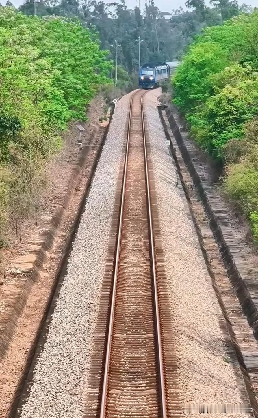 在干净无网的非电气化铁路上看东风11G型内燃机车牵引直特列车的场景是相当过瘾。图