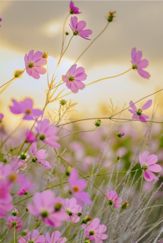 给你个很重要的忠告。这世上有3件傻事，你可千万别做：第一，主动把钱借出去，然