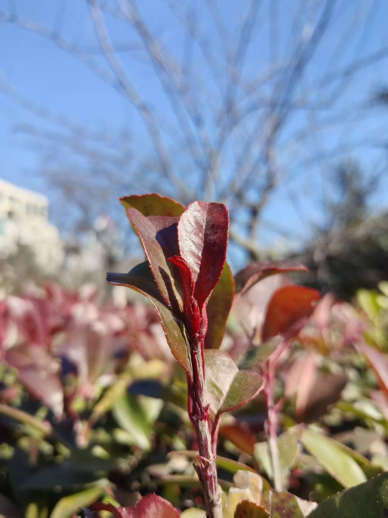 只要善于发现商机，就一定能赚到钱。58岁的张大姐每个月又多了一个赚5000的工作