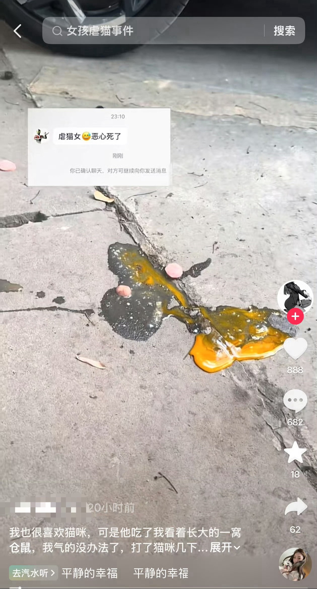 经常投喂的流浪猫把家养仓鼠吃掉了投喂的流浪猫吃了自己养的仓鼠然后打了流浪猫被说虐