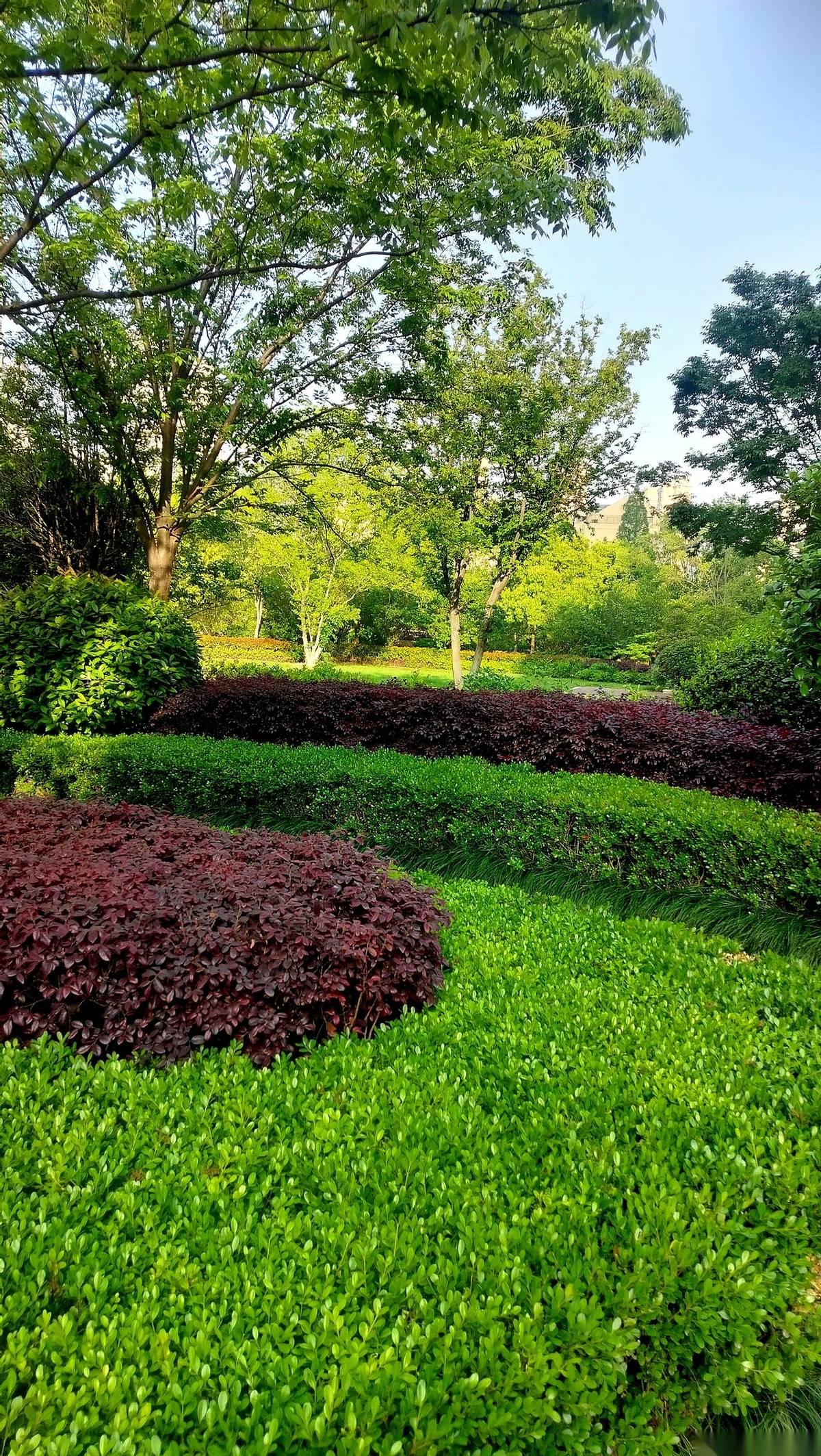 都说网贷是金融创新，我以前也信。直到我看到那个24%的利率，以及底下那行比蚊子