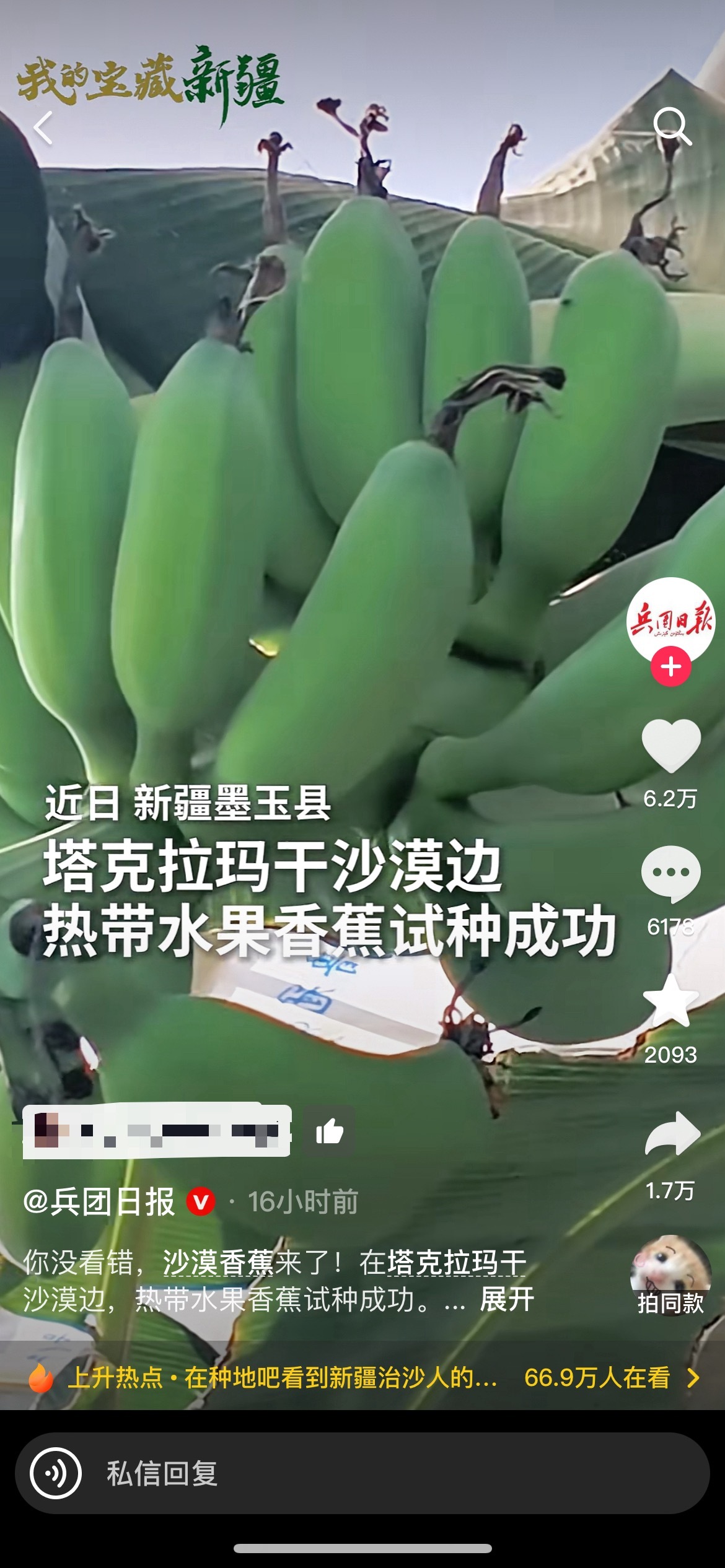 我好懵逼呀新疆居然也能种香蕉了吗